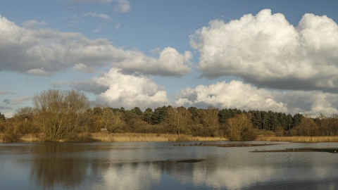 Woodland Walks - lackford lakes