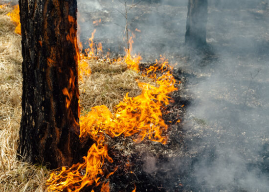 Reducing the risk of wildfires