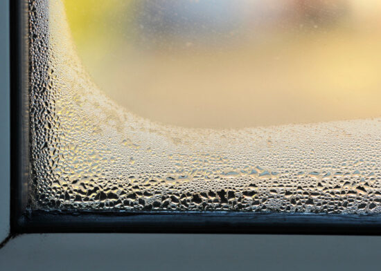 Dealing with damp, mould and condensation