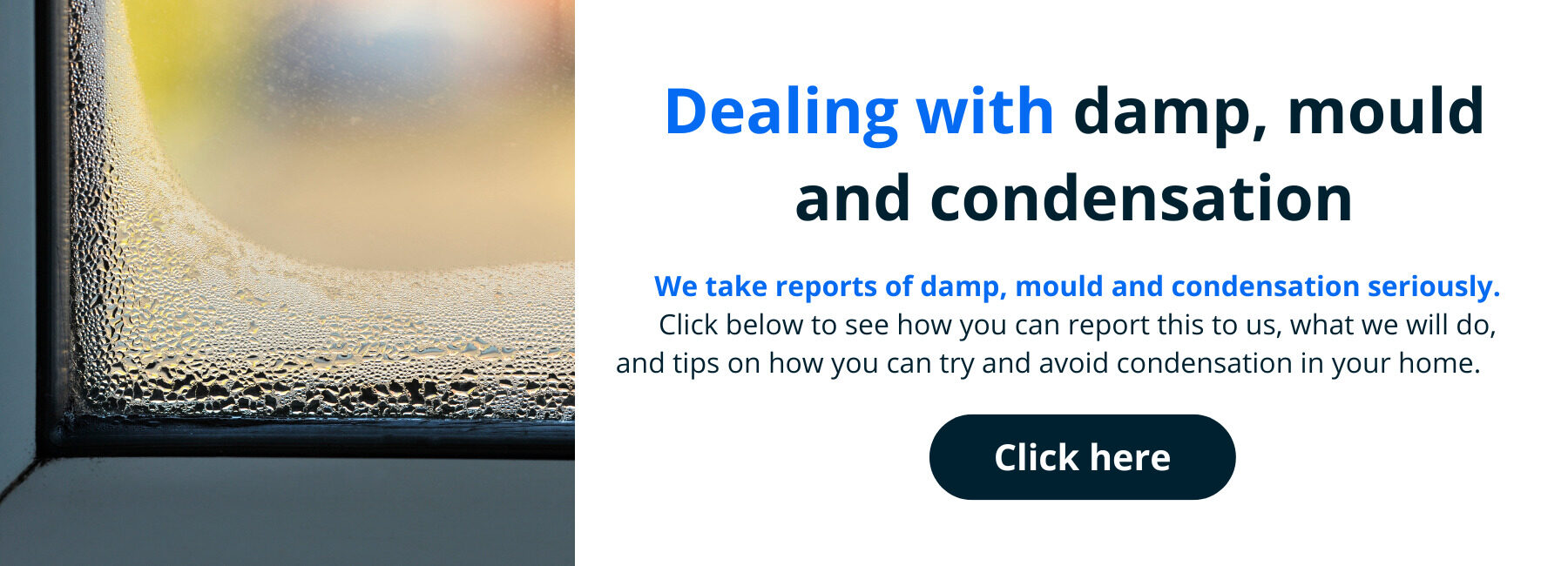 https://www.havebury.com/repairs-and-maintenance/mould-and-condensation/