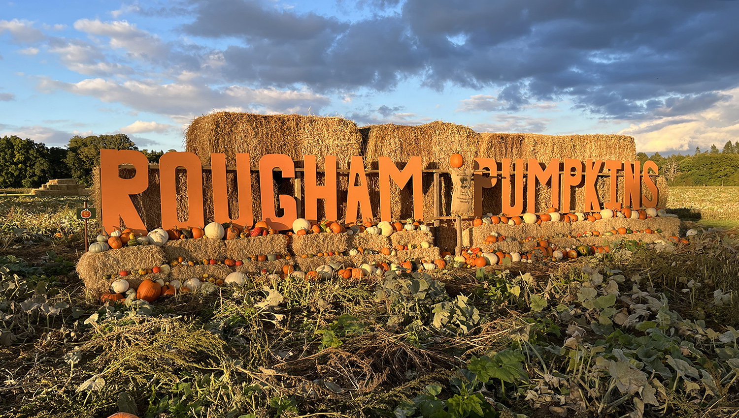 Rougham-Pumpkins-Sign-landscape2
